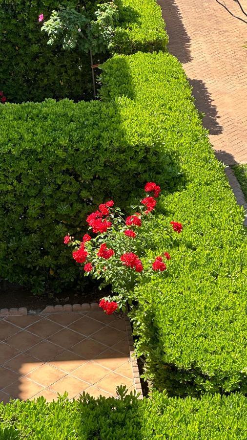 Apartament La Rosaleda 17 Denia Zewnętrze zdjęcie