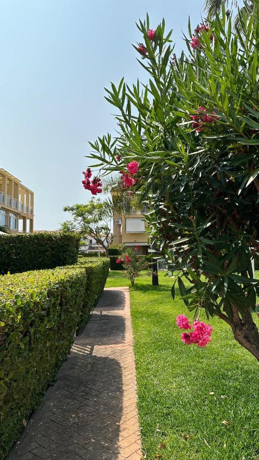 Apartament La Rosaleda 17 Denia Zewnętrze zdjęcie